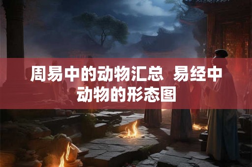 周易中的动物汇总  易经中动物的形态图