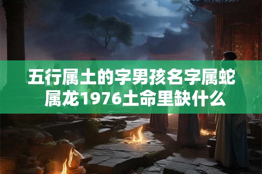 五行属土的字男孩名字属蛇  属龙1976土命里缺什么