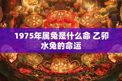 1975年属兔是什么命 乙卯水兔的命运