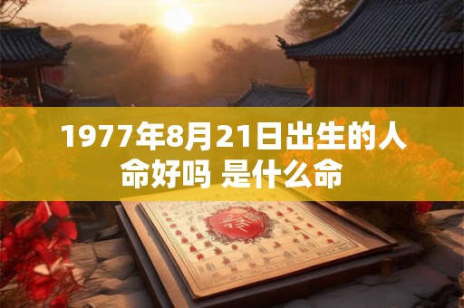 1977年8月21日出生的人命好吗 是什么命