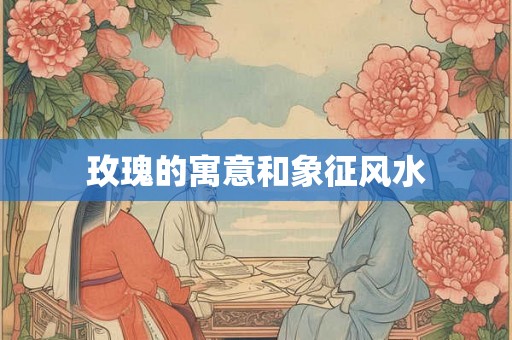 玫瑰的寓意和象征风水