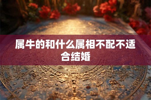 属牛的和什么属相不配不适合结婚