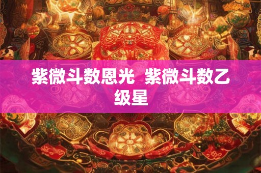 紫微斗数恩光  紫微斗数乙级星