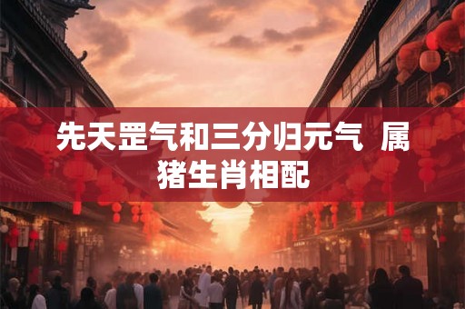 先天罡气和三分归元气 属猪生肖相配 先天罡气和三分归元气 属猪生肖相配