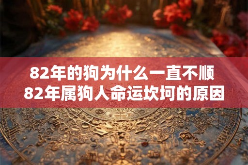 82年的狗为什么一直不顺 82年属狗人命运坎坷的原因
