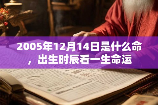 2005年12月14日是什么命，出生时辰看一生命运