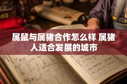 属鼠与属猪合作怎么样 属猪人适合发展的城市
