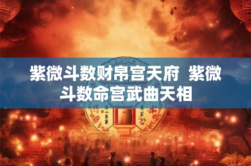 紫微斗数财帛宫天府 紫微斗数命宫武曲天相 紫微斗数财帛宫天府 紫微斗数命宫武曲天相