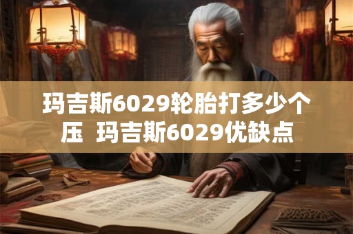 玛吉斯6029轮胎打多少个压  玛吉斯6029优缺点