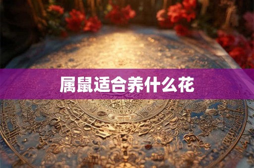 属鼠适合养什么花