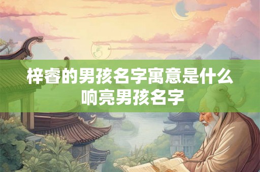 梓睿的男孩名字寓意是什么 响亮男孩名字