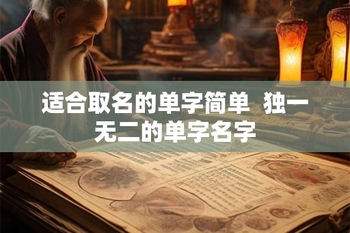 适合取名的单字简单  独一无二的单字名字