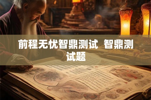 前程无忧智鼎测试  智鼎测试题