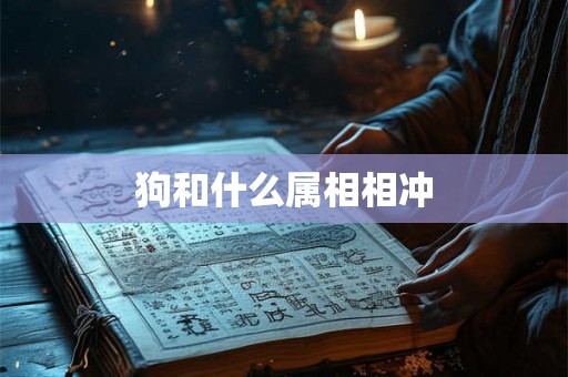 狗和什么属相相冲 狗和什么属相相冲