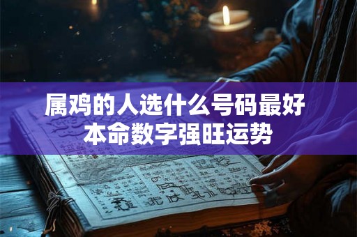 属鸡的人选什么号码最好 本命数字强旺运势 属鸡的人选什么号码最好 本命数字强旺运势