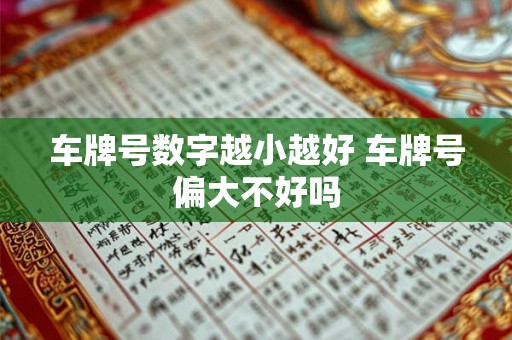 车牌号数字越小越好 车牌号偏大不好吗