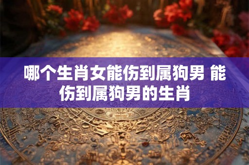 哪个生肖女能伤到属狗男 能伤到属狗男的生肖