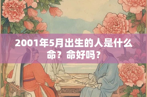 2001年5月出生的人是什么命？命好吗？