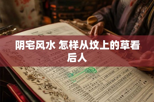 阴宅风水 怎样从坟上的草看后人