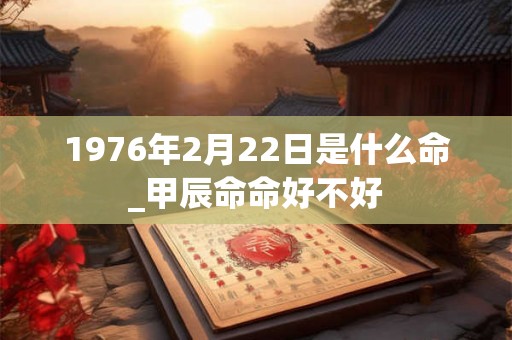 1976年2月22日是什么命_甲辰命命好不好
