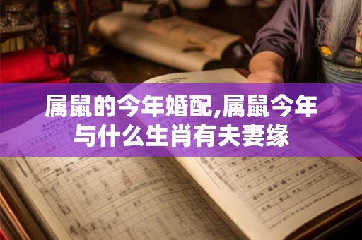 属鼠的今年婚配,属鼠今年与什么生肖有夫妻缘