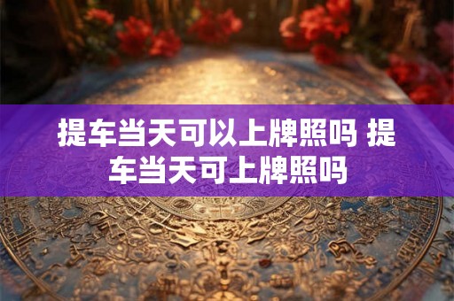 提车当天可以上牌照吗 提车当天可上牌照吗