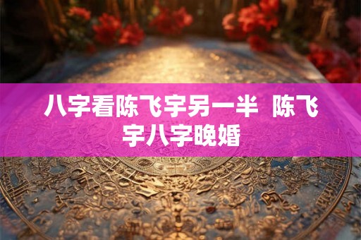 八字看陈飞宇另一半  陈飞宇八字晚婚