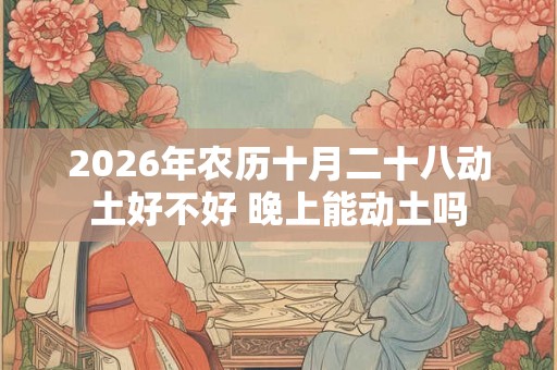 2026年农历十月二十八动土好不好 晚上能动土吗