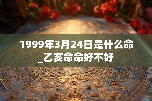 1999年3月24日是什么命_乙亥命命好不好