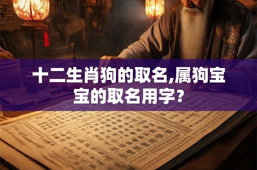十二生肖狗的取名,属狗宝宝的取名用字？