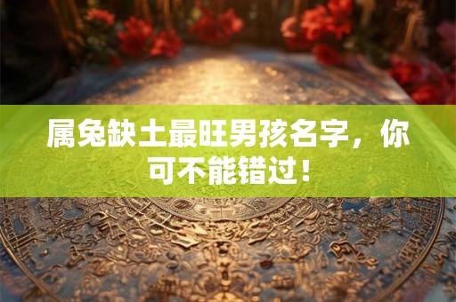 属兔缺土最旺男孩名字，你可不能错过！