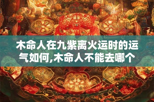 木命人在九紫离火运时的运气如何,木命人不能去哪个方向