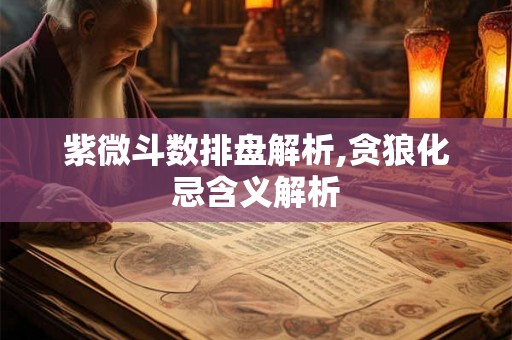 紫微斗数排盘解析,贪狼化忌含义解析