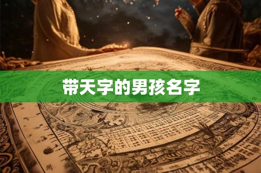 带天字的男孩名字