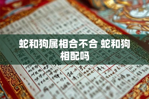 蛇和狗属相合不合 蛇和狗相配吗 蛇和狗属相合不合 蛇和狗相配吗