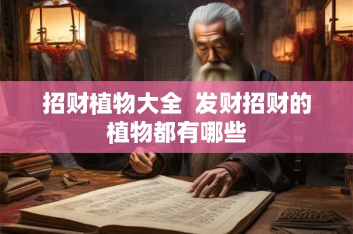 招财植物大全  发财招财的植物都有哪些