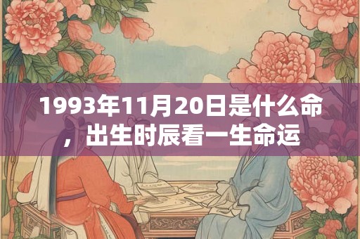 1993年11月20日是什么命，出生时辰看一生命运