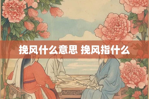 挽风什么意思 挽风指什么