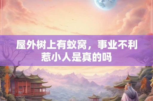 屋外树上有蚁窝,事业不利惹小人是真的吗 屋外树上有蚁窝,事业不利惹小人是真的吗