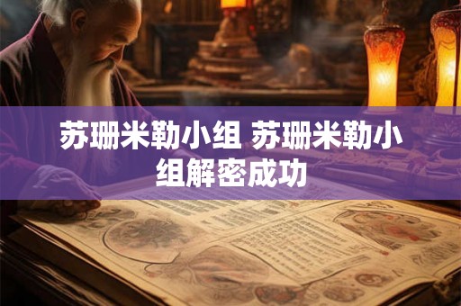 苏珊米勒小组 苏珊米勒小组解密成功