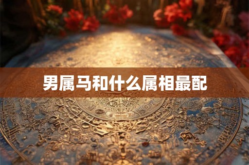 男属马和什么属相最配