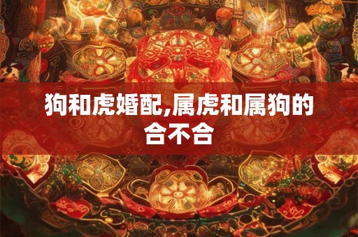 狗和虎婚配,属虎和属狗的合不合