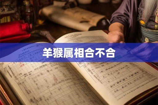 羊猴属相合不合