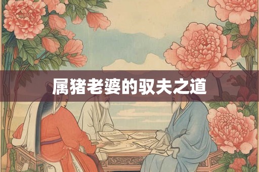 属猪老婆的驭夫之道