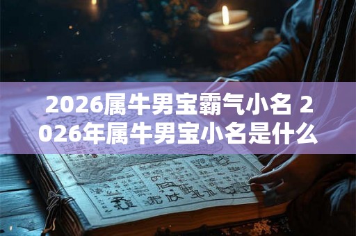 2026属牛男宝霸气小名 2026年属牛男宝小名是什么