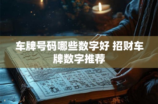 车牌号码哪些数字好 招财车牌数字推荐