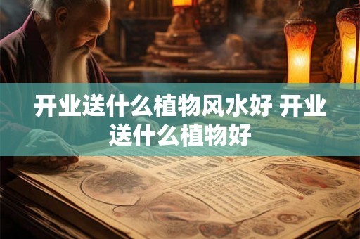 开业送什么植物风水好 开业送什么植物好