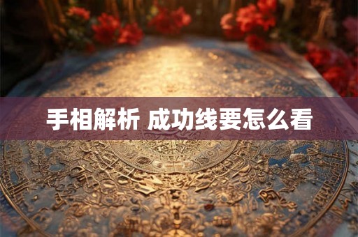 手相解析 成功线要怎么看 手相解析 成功线要怎么看