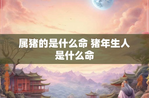 属猪的是什么命 猪年生人是什么命
