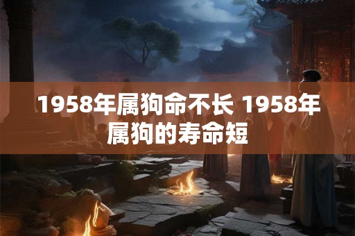 1958年属狗命不长 1958年属狗的寿命短